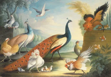 Deux paons, des colombes, des poules et un coq dans un parc